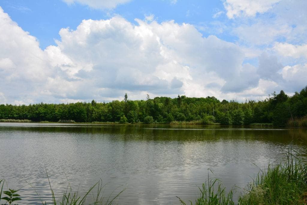 Étang du Colombier-Virval – pêche de la carpe de nuit (Pas-de-Calais)